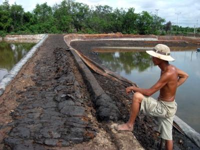 Loạn thị trường thuốc thú y thủy sản ai bồi thường cho nông dân?