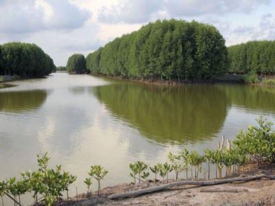 EU tài trợ Việt Nam phát triển nuôi tôm bền vững