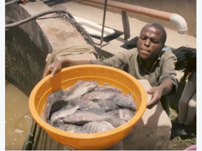 Investing in Africas aquaculture future, part 1