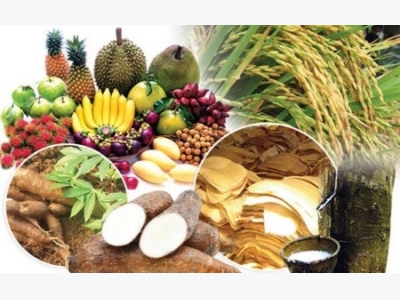 Thai agricultural exports have increased