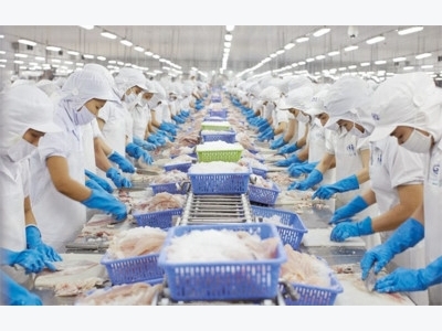 Seafood exporters still face hurdles in remaining months
