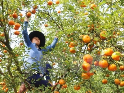 Ministry recognises 28 high-tech agricultural firms
