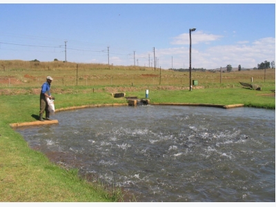South Africa undertakes strategic environmental assessment for aquaculture development