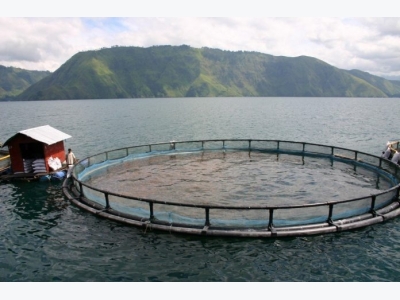 Can Aquaculture Save the World?