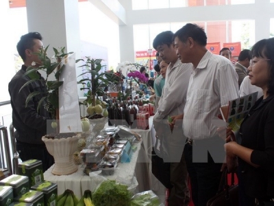 Conference discusses developing Lam Dong high-tech farming