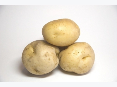 Growing Potatoes From Store Bought Potatoes
