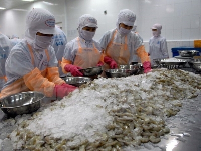 Vietnams shrimp exports to China surge 30 percent in first half