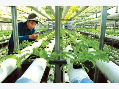Tiền Giang develops hi-tech agricultural park