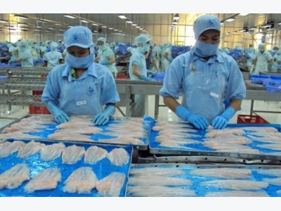 Tra fish exports steady after new US food safety rule