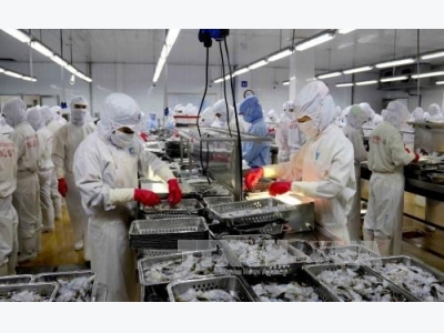 Seafood exports estimated at 8 bln USD in 2017