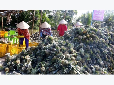Southern trade promotion pushes clean agriculture