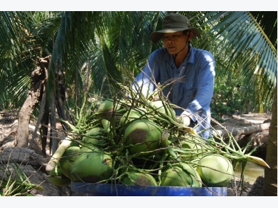 Việt Nam pushes up fruit exports