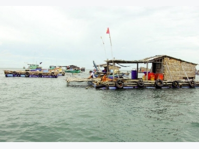 Triển vọng với nuôi cá biển