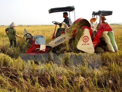 SVEAM works to boost export of Vietnamese agricultural machinery