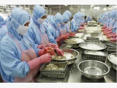 Xuất khẩu tôm quý II khởi sắc