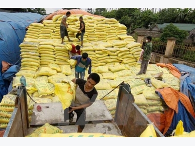Safeguard duty on fertilizer imports may cause rice production costs to surge