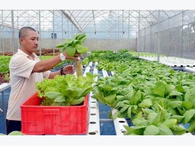 High-tech farming development sluggish