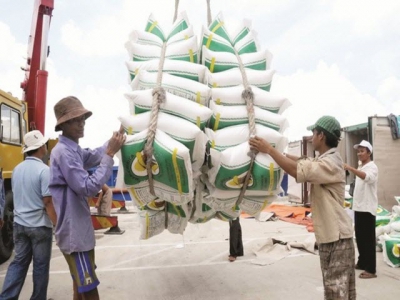 Analyzing the molting of rice export story