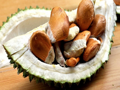 Demand for durian seeds surges