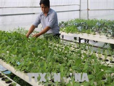 Vietnam urged to develop smart agriculture in Revolution 4.0
