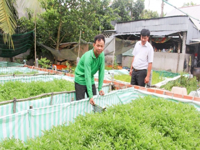 Làm giàu từ mô hình nuôi lươn