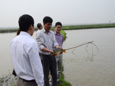 Cách phòng bệnh cho thủy sản nuôi trong mùa mưa bão
