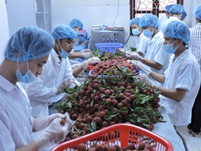 Strong rise in farm exports via Lang Son border gate