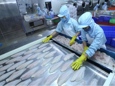 Things go swimmingly for seafood exports to CPTPP