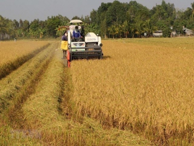 ODA for agricultural development nears 2 billion USD in 20 years