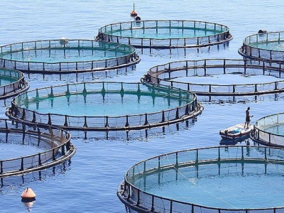 In pictures Nine ecological models for aquaculture