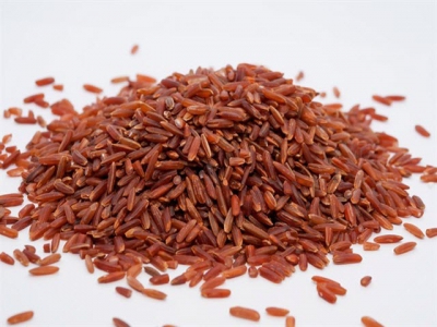 Sản xuất lúa gạo Huyết rồng giảm chi phí, tăng lợi nhuận