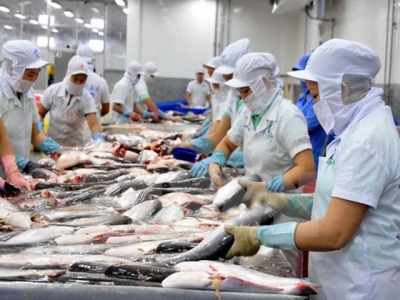 Tra fish exports to EU to surge in 2019