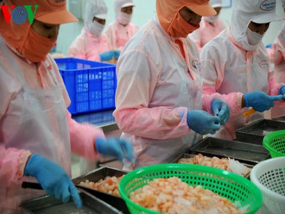 Shrimp exports set to capitalise on EVFTA opportunities