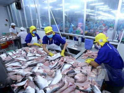 Seafood sectors urged to diversify products