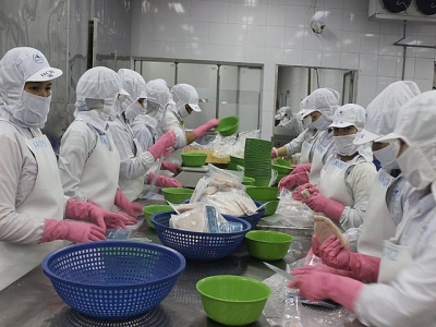 Enterprises take advantage of opportunities to export shrimp