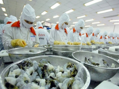 The shrimp market is contrary to forecast by experts