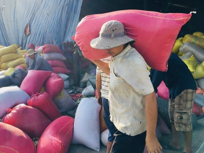 Rice importers try to force prices down, Vietnam needs long-term export plan