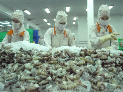 Shrimp market sees positive signs