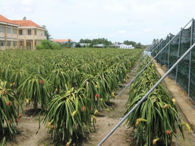 Australia – a potential market for Vietnamese organic agricultural products