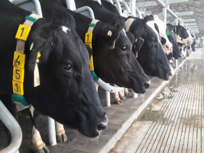 Wave of investment from agricultural giants