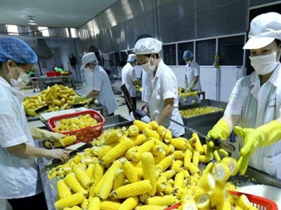 Farm exports expected at US$45 billion this year