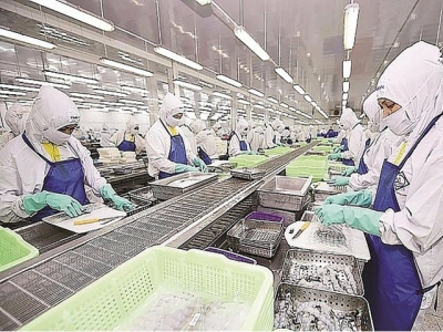 Seafood enterprises fight against the pandemic, maintain export orders