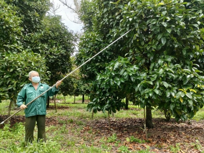 Farm produces encouraged to be on electronic floors