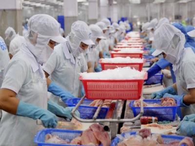 Pangasius exports to potential markets skyrocket over five months