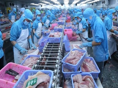 US announces final results of POR16 for Vietnamese tra, basa fish