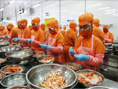 Shrimp export reached 1.31 billion USD in the first 5 months of 2021