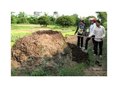 Mô Hình Ủ Phân Hữu Cơ Từ Thân Cây Ngô