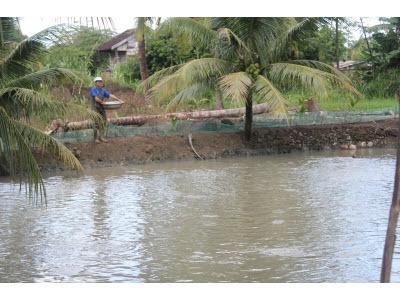 Hội Thảo Mô Hình Nuôi Thí Điểm Cá Rô Đầu Vuông Ở Xã Tân Hòa (Đak Lak)