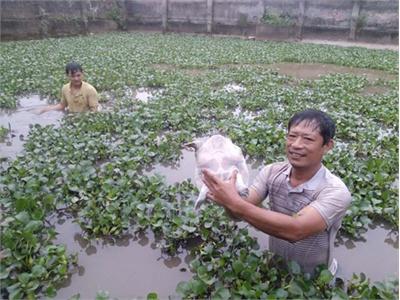 Bí Quyết Làm Giàu Của Chủ Trang Trại Bạc Tỷ Bên Dòng Lô Giang