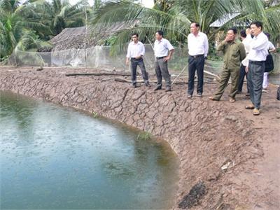 Nên Hay Không Nên Nuôi Tôm Thẻ Chân Trắng Ven Sông Hàm Luông?